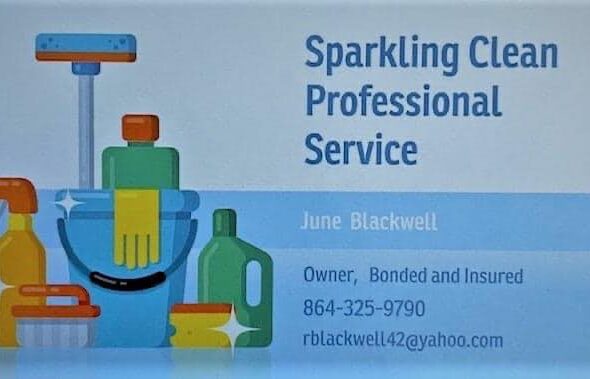 Sparkling Clean Professionals