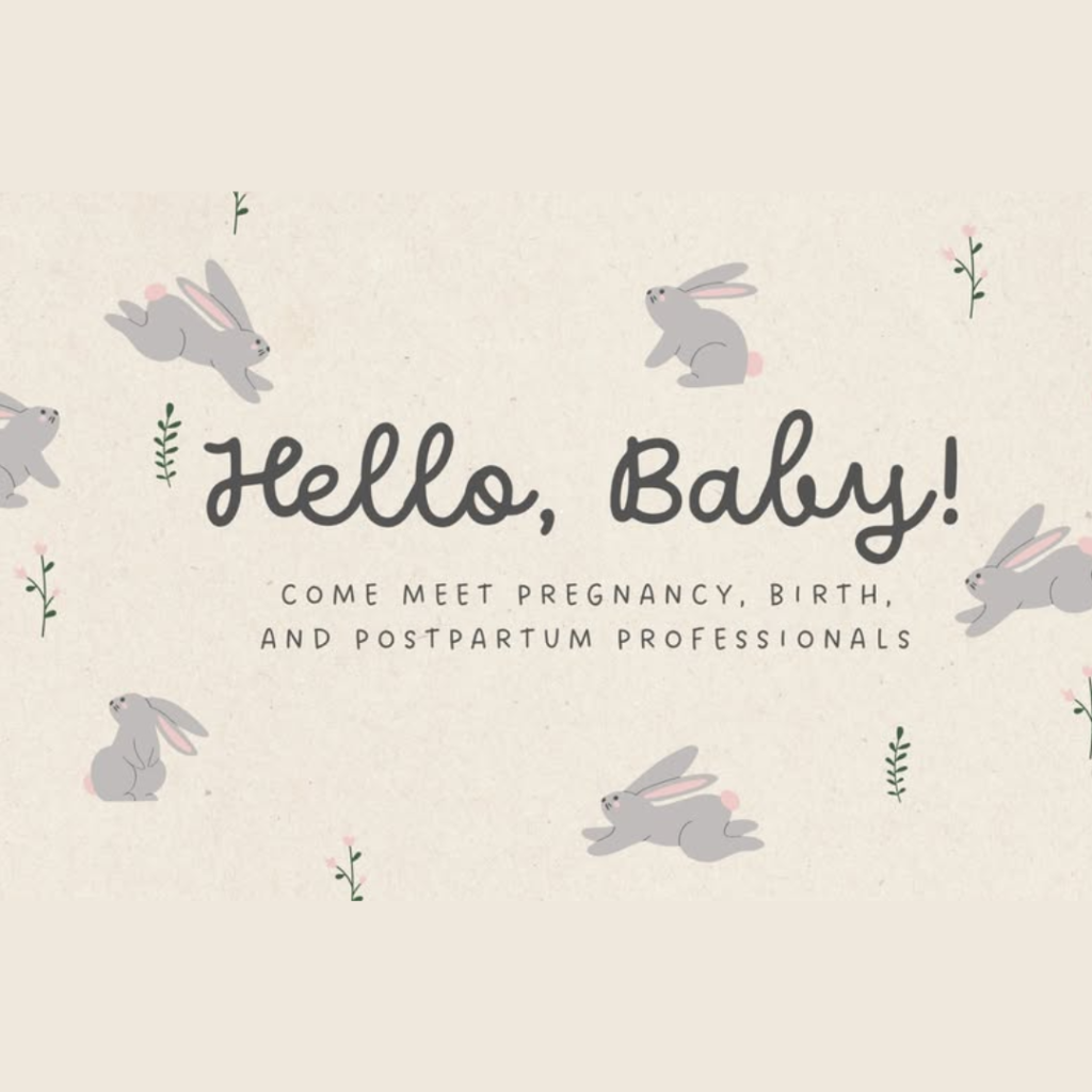 A Perinatal Professional Meet-and-Greet 2026